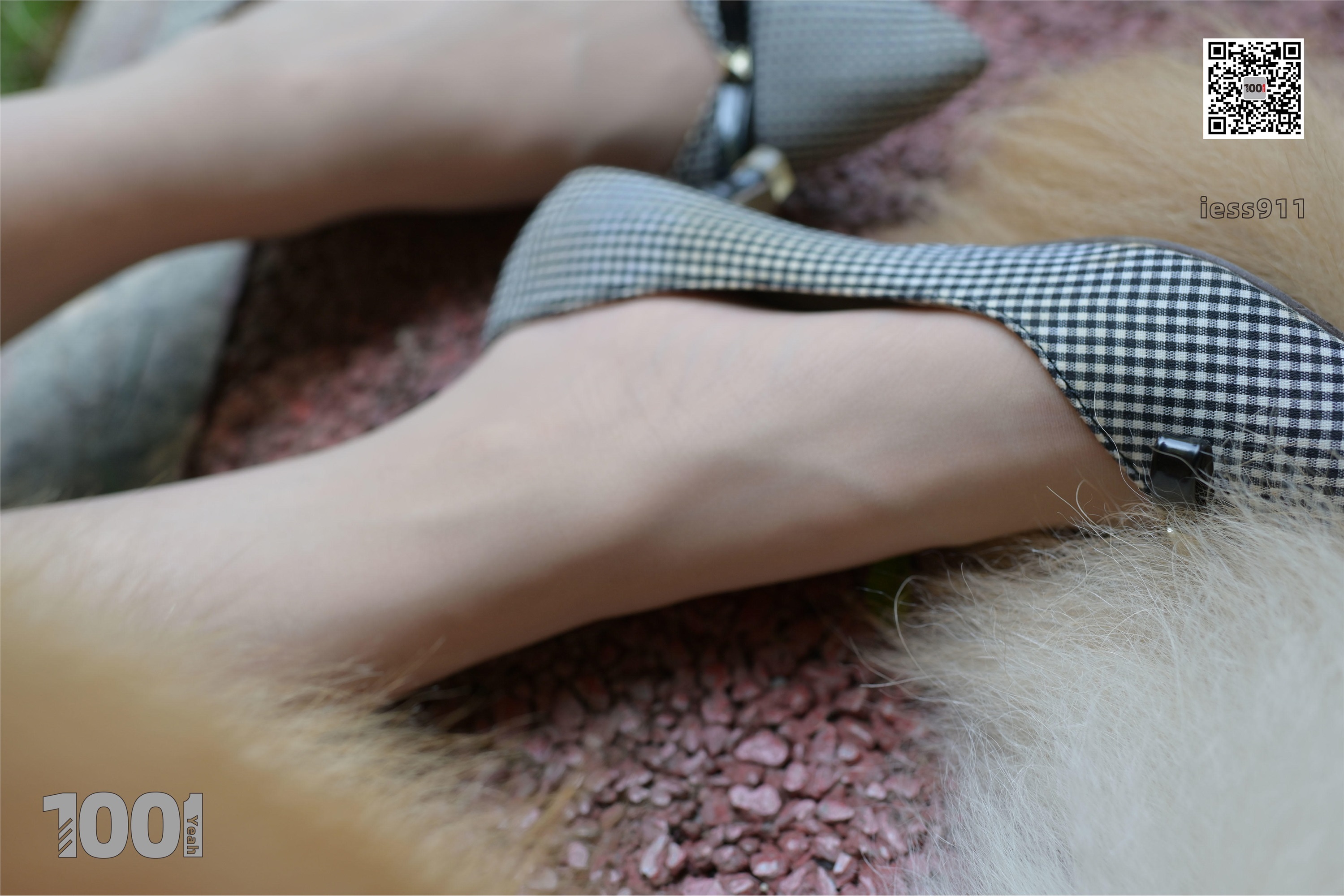 IESS异思趣向 一千零一夜 模特：真真《家有萌宠1》